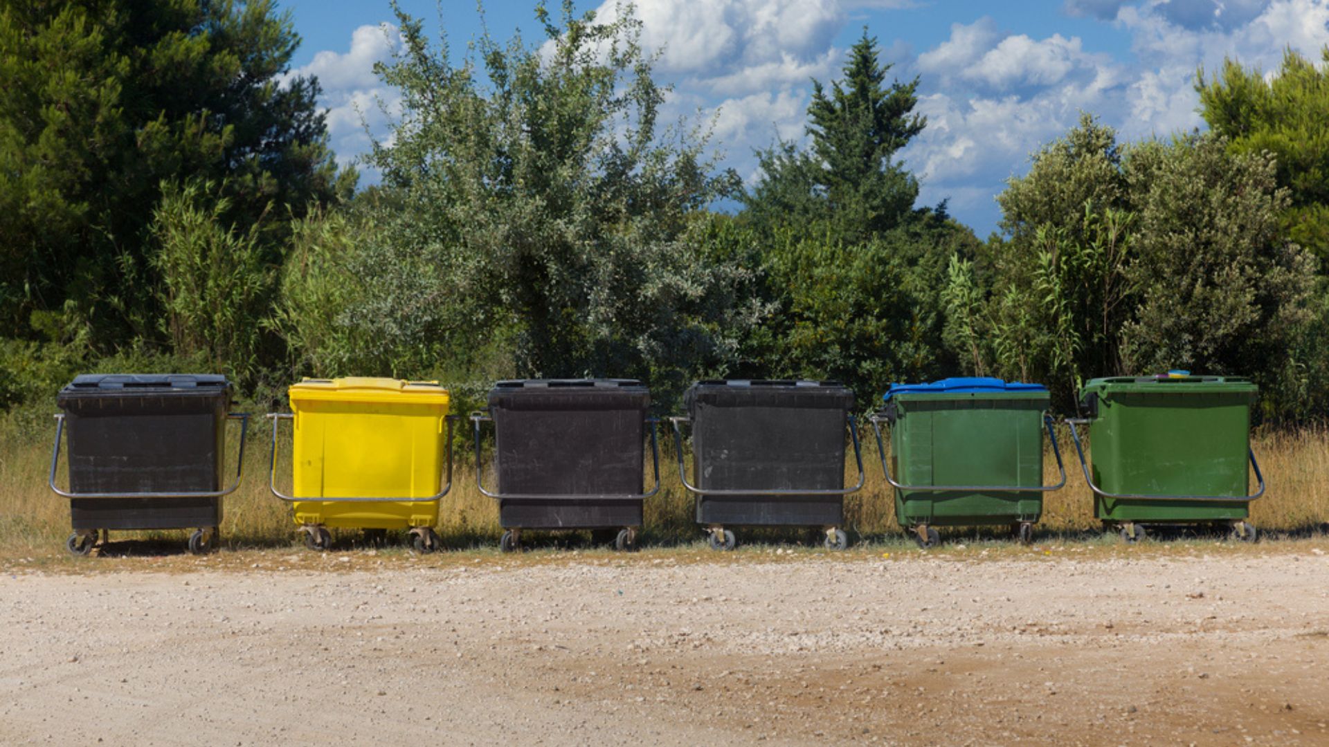 Rangée de bacs de tri de différentes couleurs (noir, jaune, vert, bleu) alignés en extérieur, destinés à la collecte sélective des déchets, au bord d’un chemin en milieu naturel.